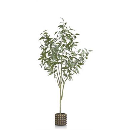 Coco Maison Eucalypthus Tree plant H195cm